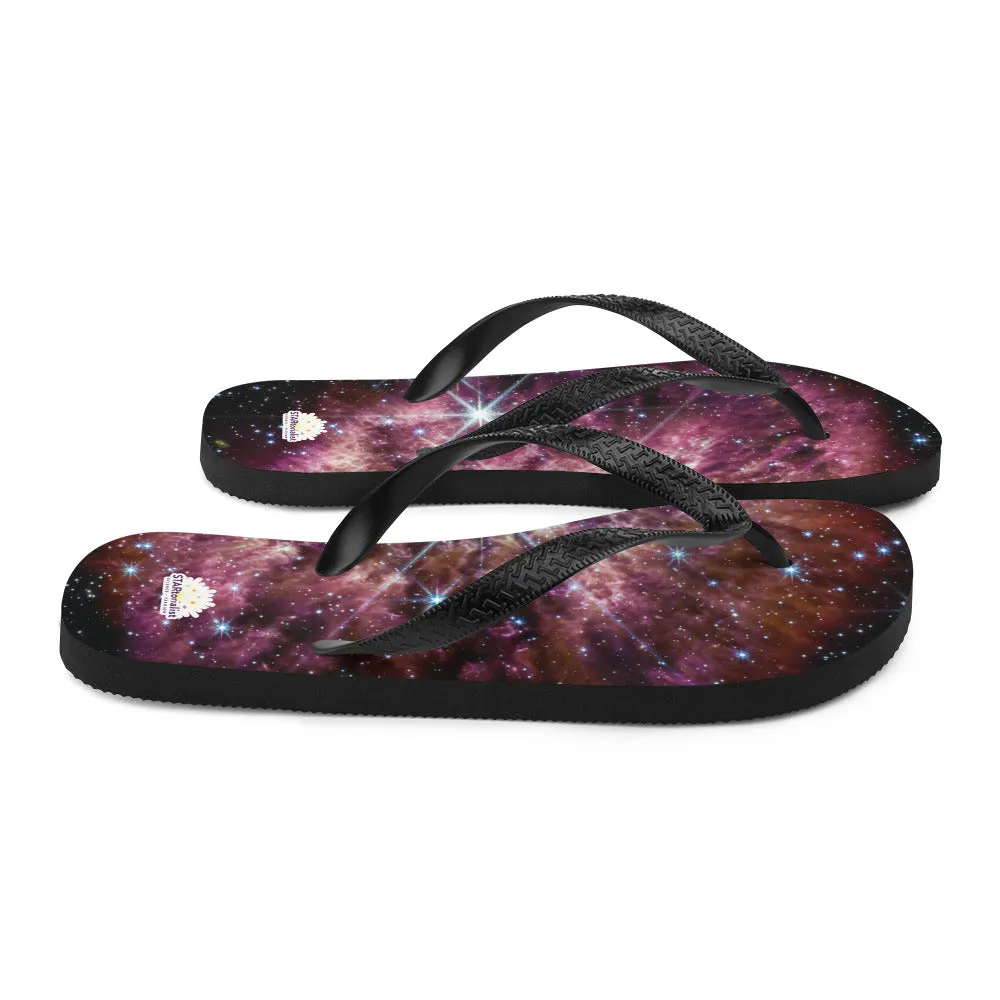 JWST Massive Star WR 124 Flip-Flops