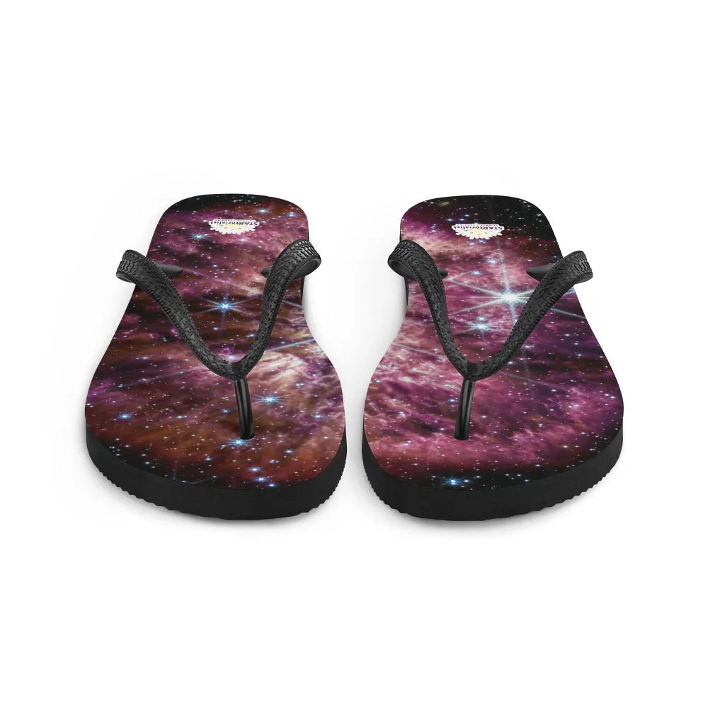 JWST Massive Star WR 124 Flip-Flops