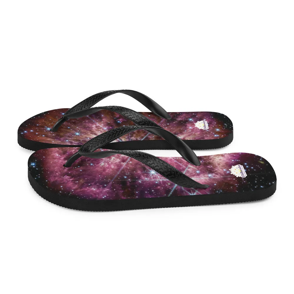 JWST Massive Star WR 124 Flip-Flops